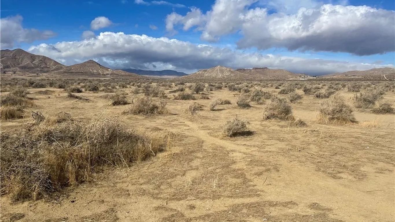 Rosamond