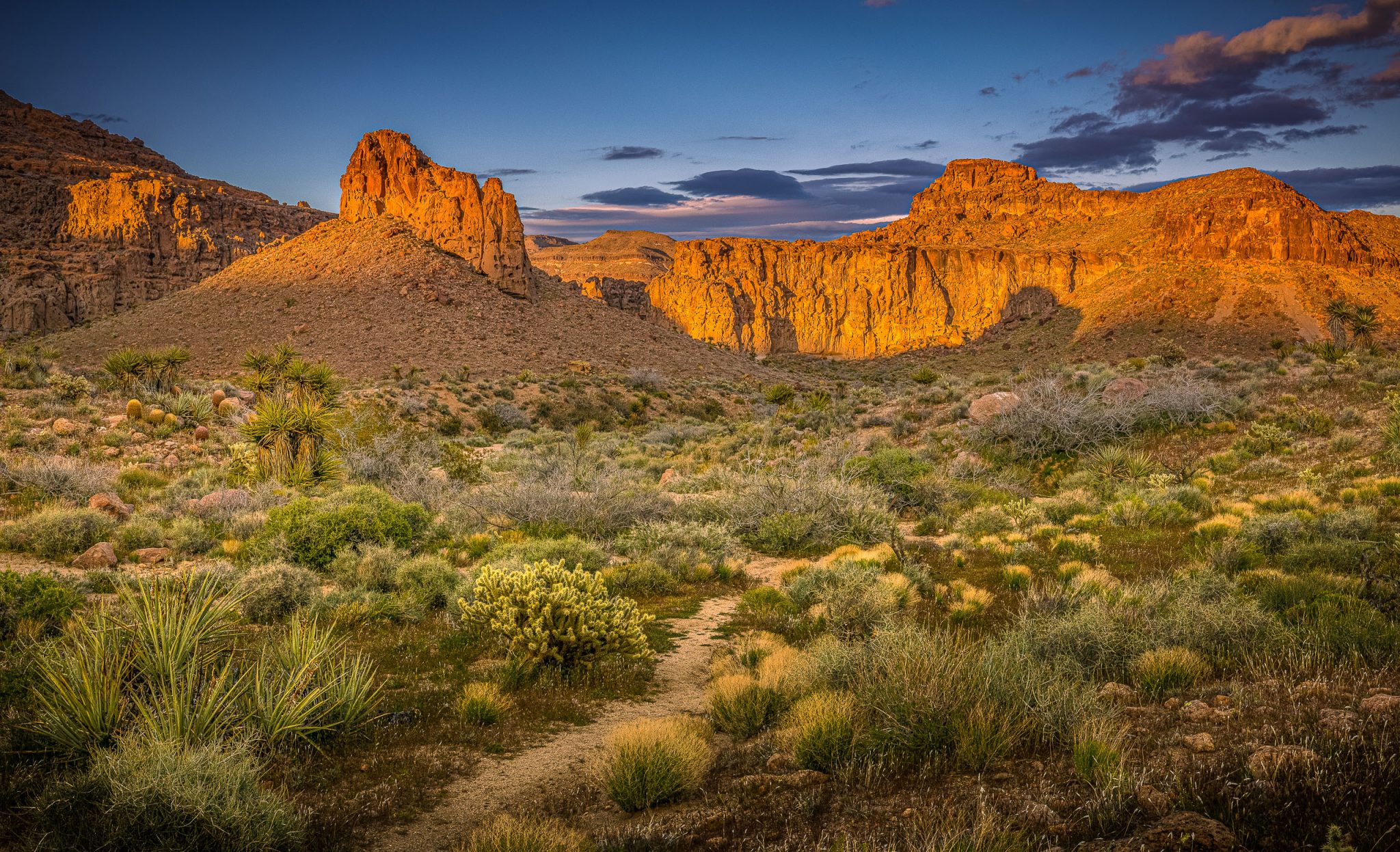 Mojave